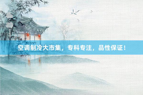空调制冷大市集，专科专注，品性保证！